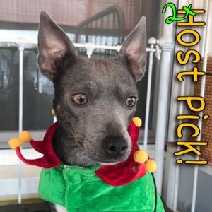 FESTIVE DOG ELF COSTUME *CAT *PUPPY *HOLIDAY *CHRISTMAS *HALLOWEEN *GUC